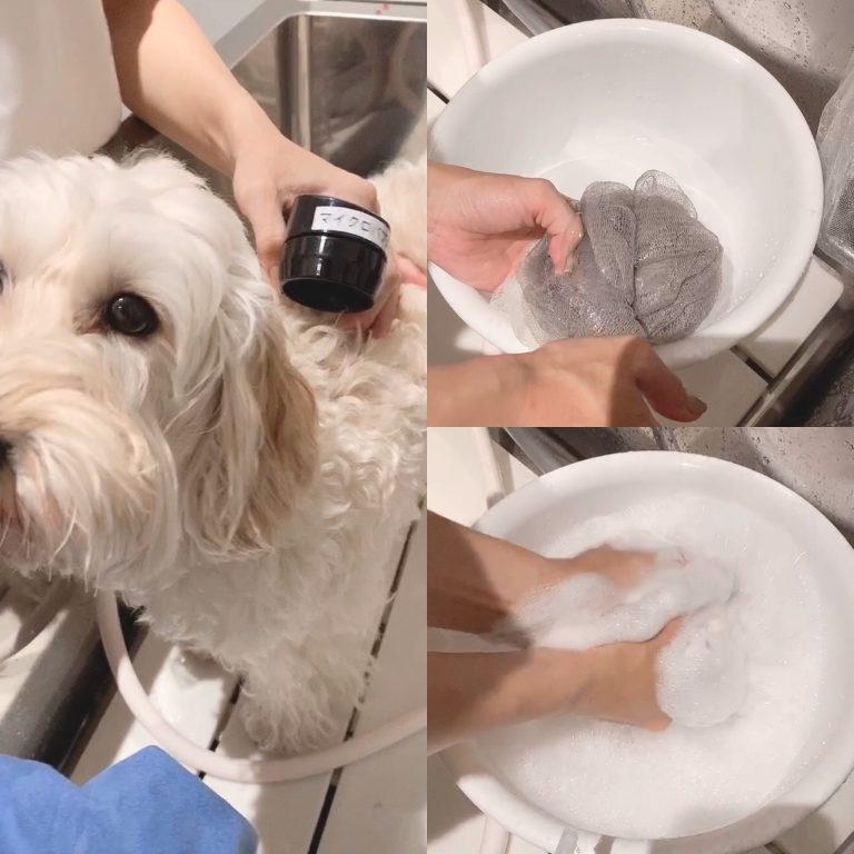 ご利用手順 例 Dog Self Wash (ドッグセルフウォッシュ)